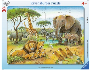 Afrikas Tierwelt 30Teile