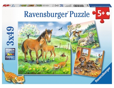 Kuschelzeit 3x49