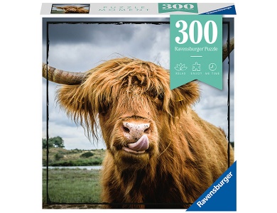 Highland Cattle 300Teile