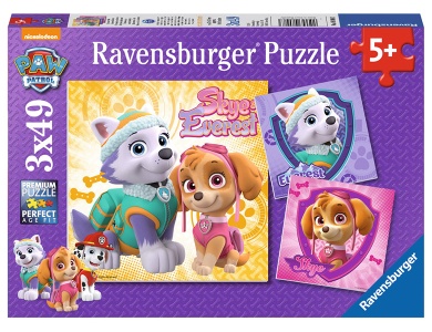 Paw Patrol 3x49