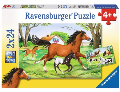 Welt der Pferde 2x24