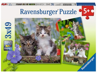 Süsse Samtpfötchen 3x49