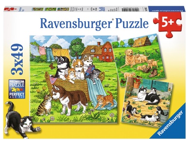 Süsse Katzen und Hunde 3x49