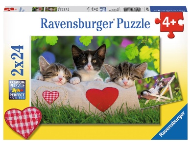 Verschlafene Kätzchen 2x24