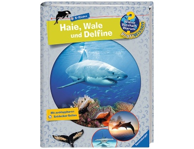 Haie, Wale und Delfine Nr.24