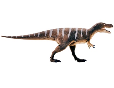 Nanotyrannus