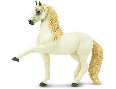 Andalusischer Hengst