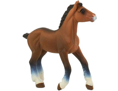 Clydesdale Fohlen