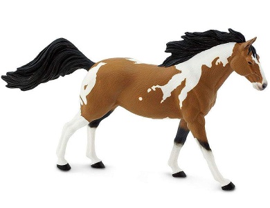 Pinto Mustang Hengst