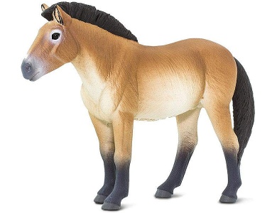 Safari Ltd. Horses Przewalski Pferd