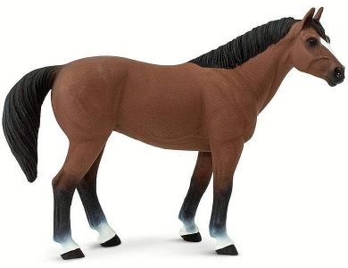 Quarter Horse Gelding