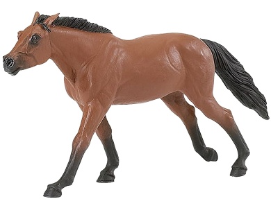 Thoroughbred Hengst