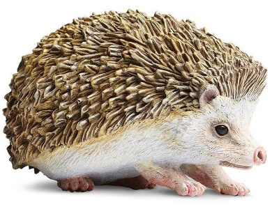 Igel