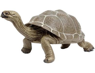Safari Ltd. Galapagos Schildkrte