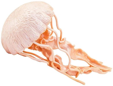 Safari Ltd. Incredible Creatures Qualle