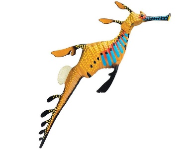Seedrachen