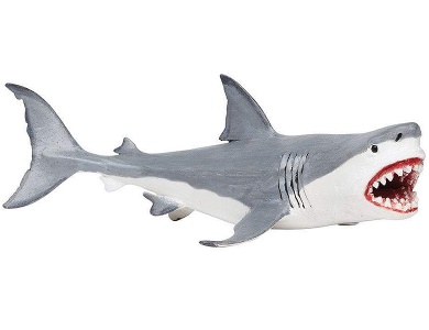 Megalodon