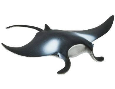 Teufelsrochen