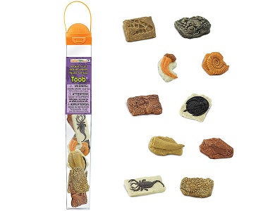 Alte Fossilien 10Teile