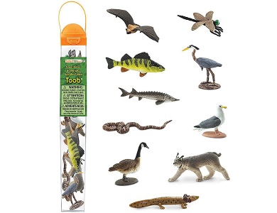Safari Ltd. Toob Grosse Seen (10Teile)