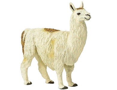 Lama