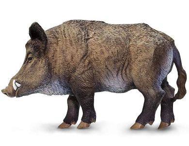 Wildschwein