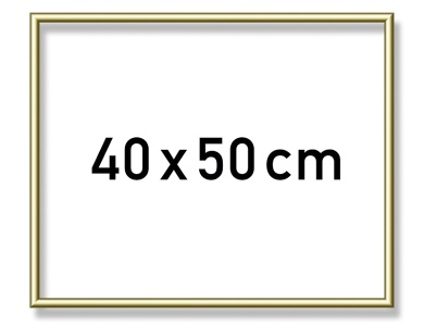 MNZ Alurahmen Gold 40x50cm