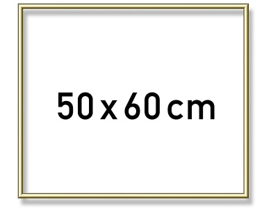 Schipper MNZ Alurahmen Gold (50x60cm)