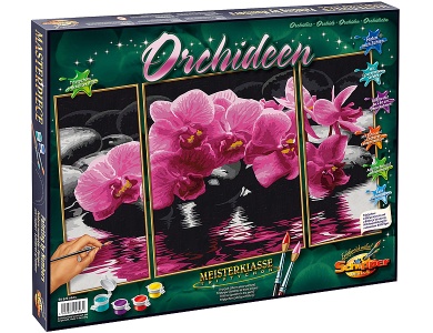 MNZ Orchideen