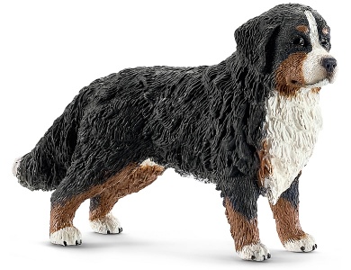 Berner Sennenhündin