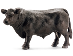Black Angus Bulle