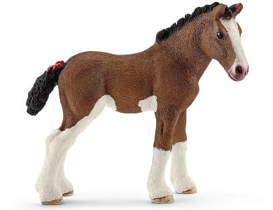Clydesdale Fohlen