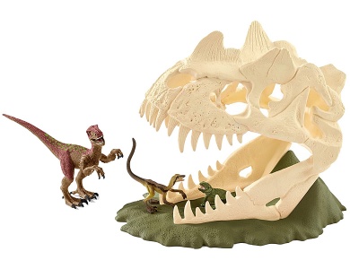 Grosse Schädelfalle mit Velociraptor