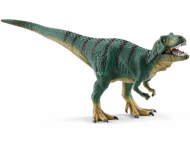Jungtier Tyrannosaurus Rex