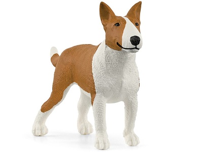 Bullterrier