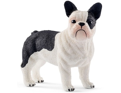 Französische Bulldogge
