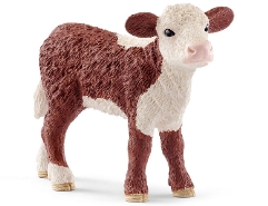 Hereford Kalb