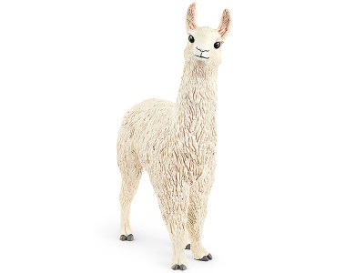 Lama