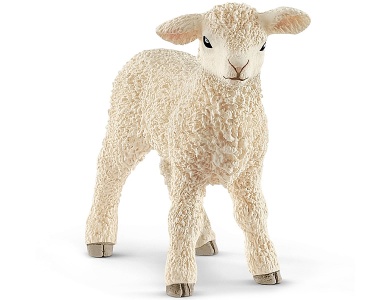 Lamm