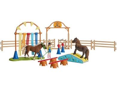 Pony Agility Training