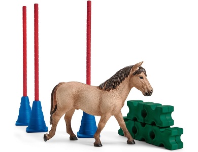 Pony Slalom