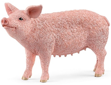 Schwein
