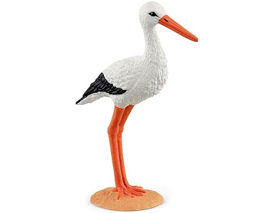 Storch
