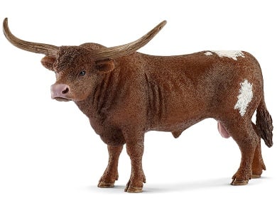 Texas Longhorn Bulle