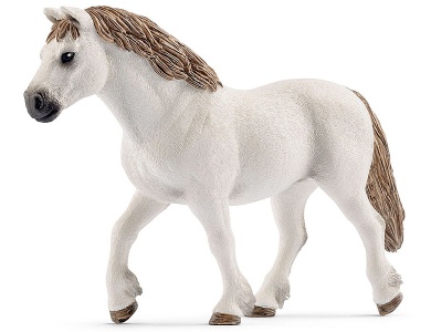 Welsh-Pony Stute
