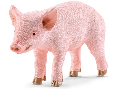 Ferkel stehend