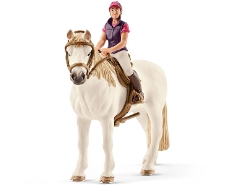 Freizeitreiterin mit Pferd
