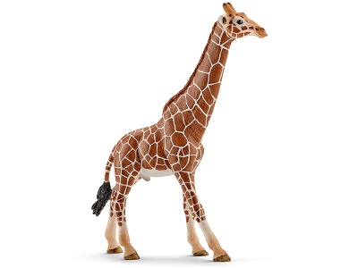 Giraffenbulle