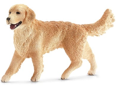 Golden Retriever Hündin