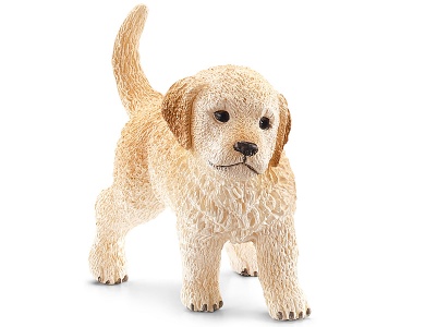 Golden Retriever Welpe